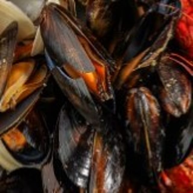 Black Mussel (Lb).